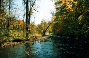 Ambling River