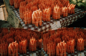 Farmer's Market Carrots